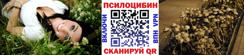 закладки  Бологое  Псилоцибиновые грибы прущие грибы 